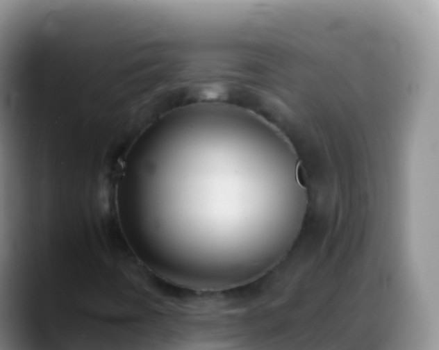 X0000088911442200706151857