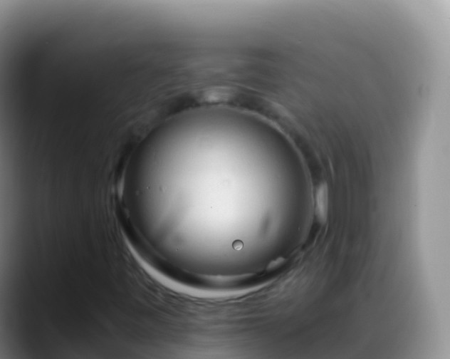 X0000088911443200706151857