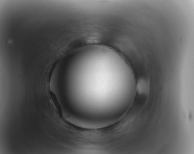 X0000088911444200706151857