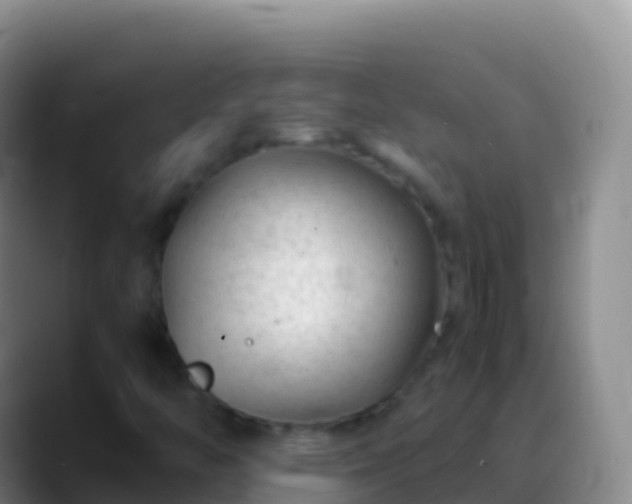 X0000088911446200706151857