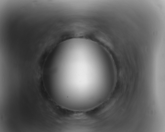 X0000088911447200706151857