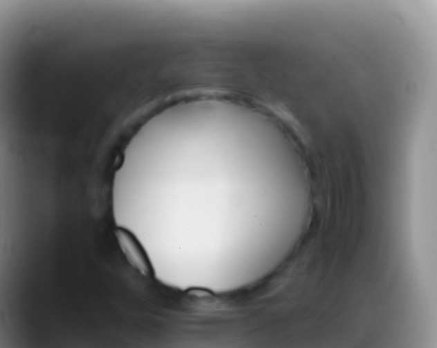 X0000088911448200706151857