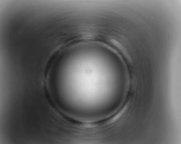 X0000088911449200706151857