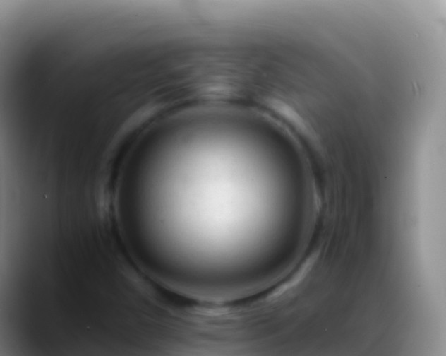 X0000088911450200706151857