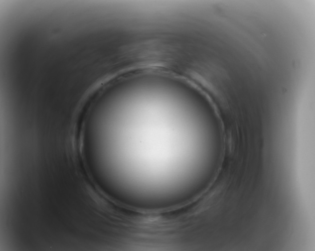 X0000088911452200706151857