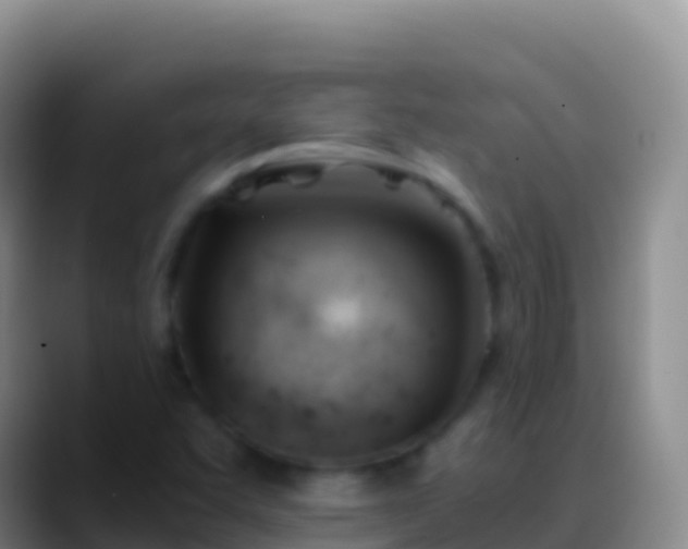 X0000088911455200706151857