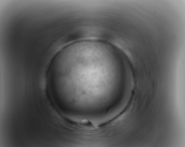 X0000088911459200706151857