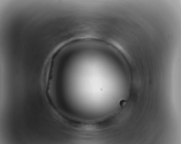 X0000088911460200706151857