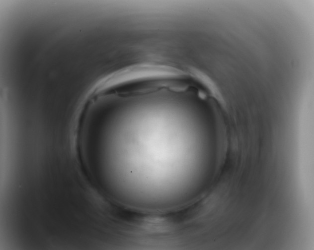 X0000088911463200706151857