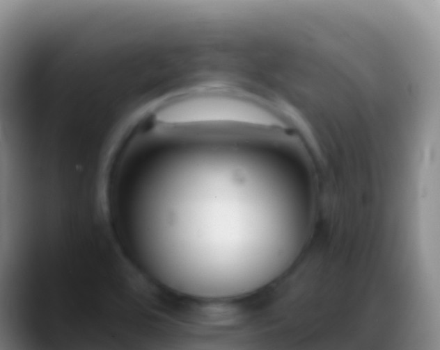 X0000088911464200706151857