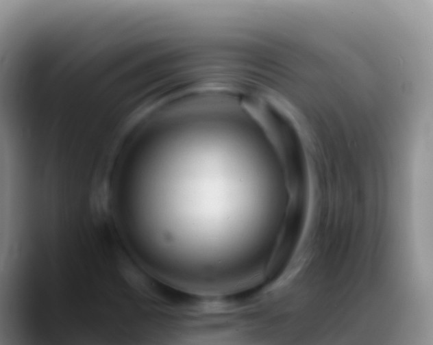 X0000088911465200706151857