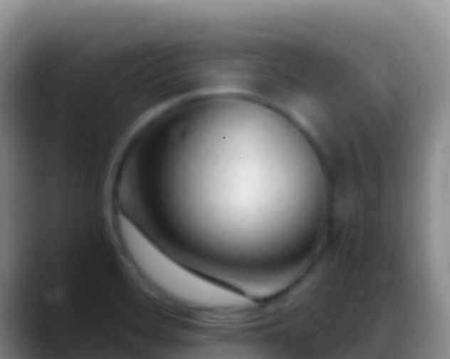X0000088911468200706151857