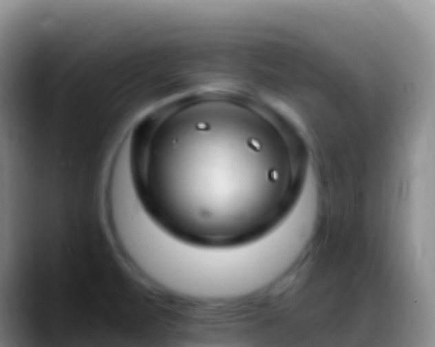 X0000088911471200706151857