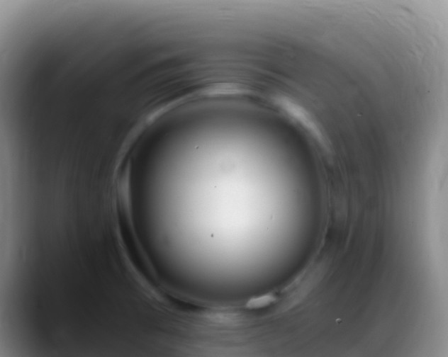 X0000088911473200706151857