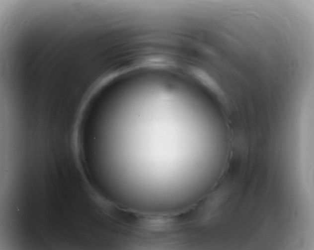 X0000088911474200706151857