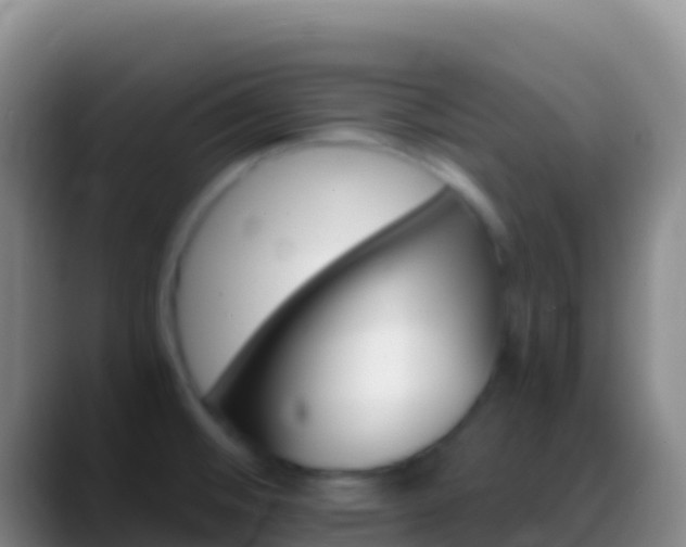X0000088911476200706151857