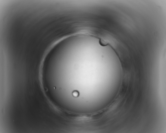 X0000088911478200706151857