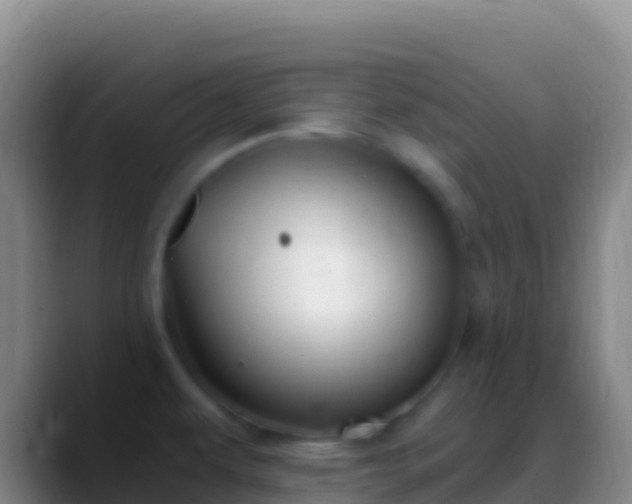 X0000088911479200706151857