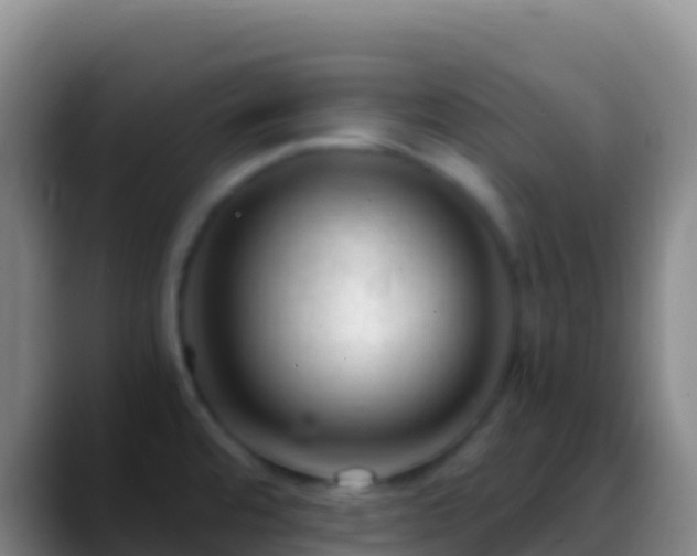 X0000088911480200706151857