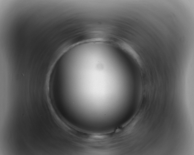 X0000088911483200706151857