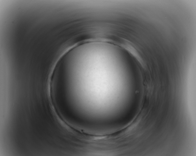 X0000088911484200706151857