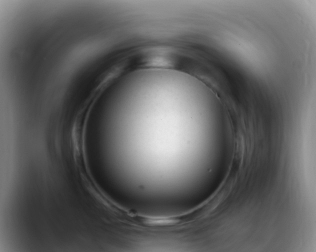 X0000088911487200706151857