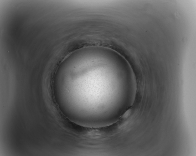 X0000088911489200706151856