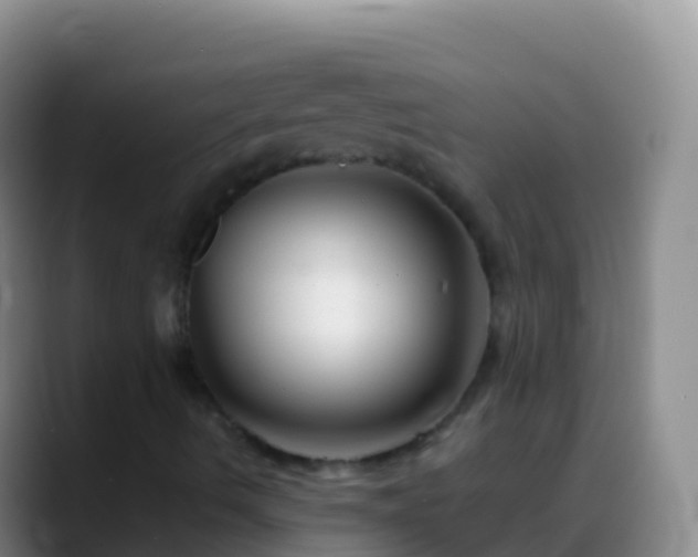 X0000088911490200706151856