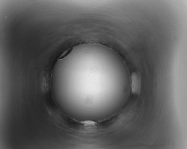 X0000088911491200706151856