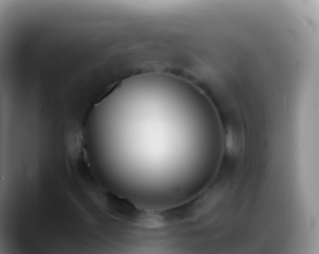 X0000088911492200706151856
