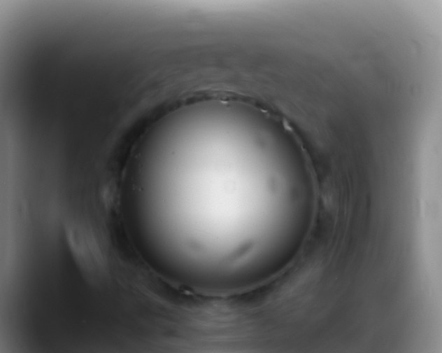 X0000088911495200706151856
