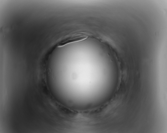 X0000088911496200706151856