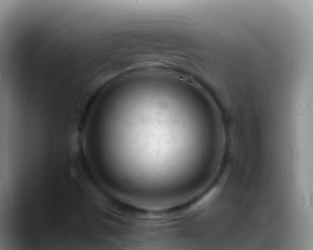 X0000088911497200706151856