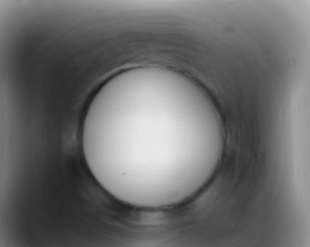 X0000088911498200706151856