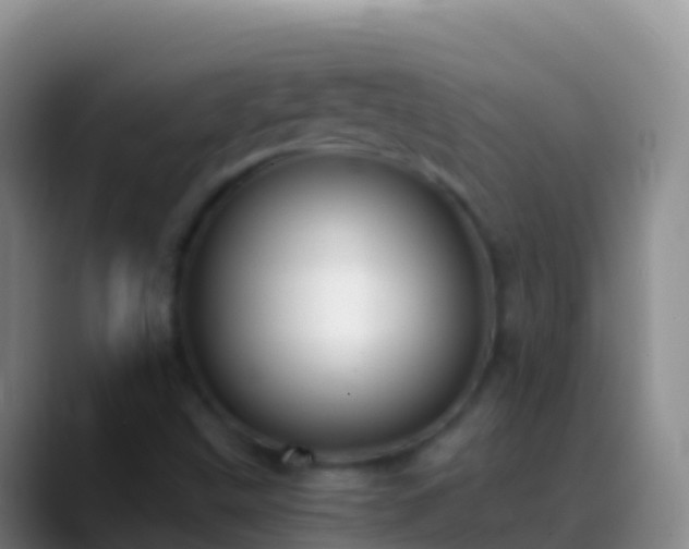 X0000088911499200706151856