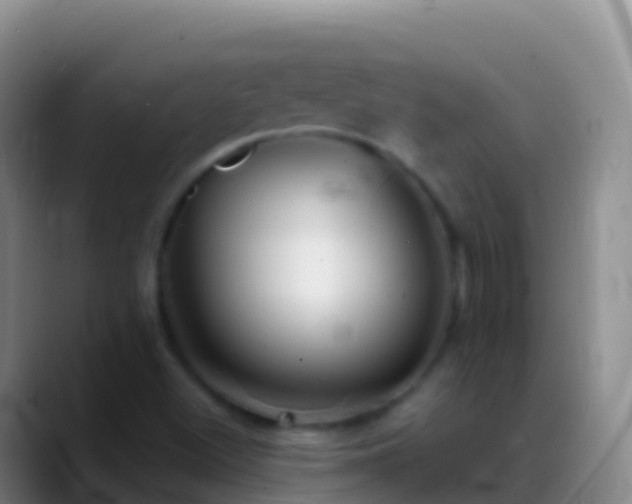 X0000088911500200706151856