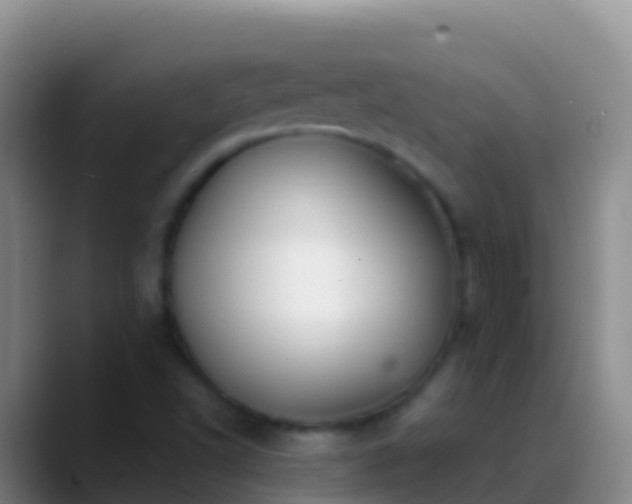 X0000088911502200706151856