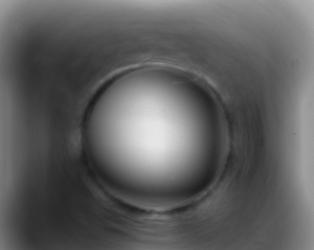 X0000088911503200706151856