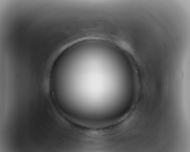 X0000088911504200706151856