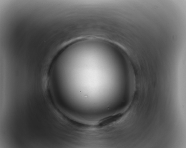 X0000088911507200706151856