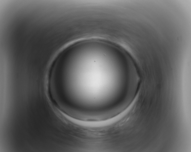 X0000088911508200706151856