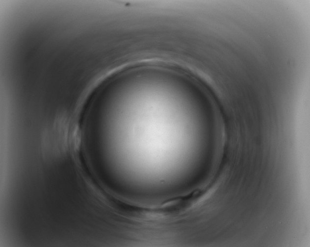 X0000088911509200706151856
