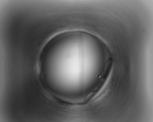 X0000088911510200706151856