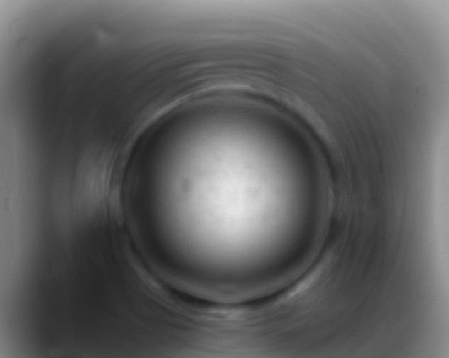 X0000088911513200706151856