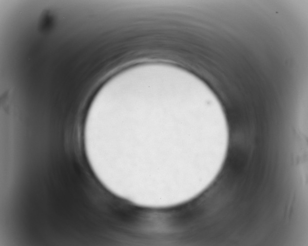 X0000088911514200706151856