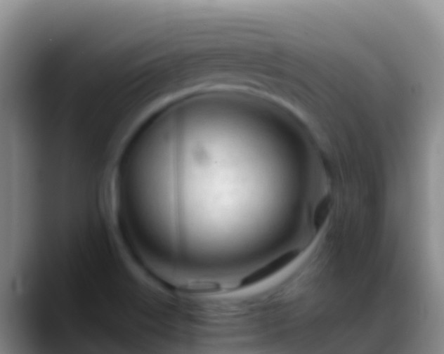X0000088911515200706151856