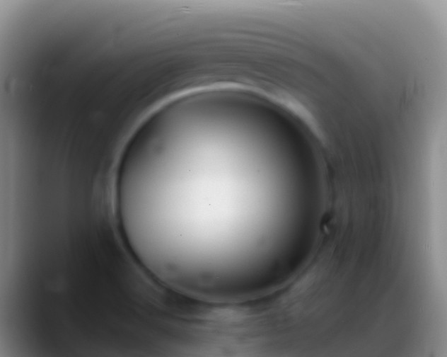 X0000088911516200706151856