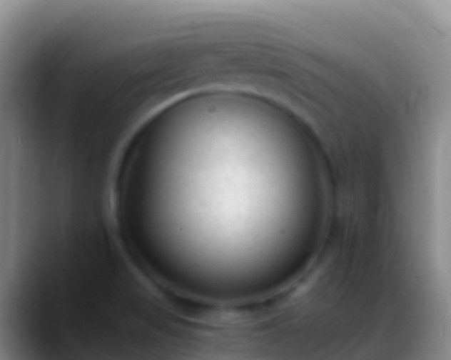 X0000088911517200706151857