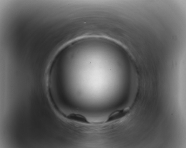 X0000088911519200706151857