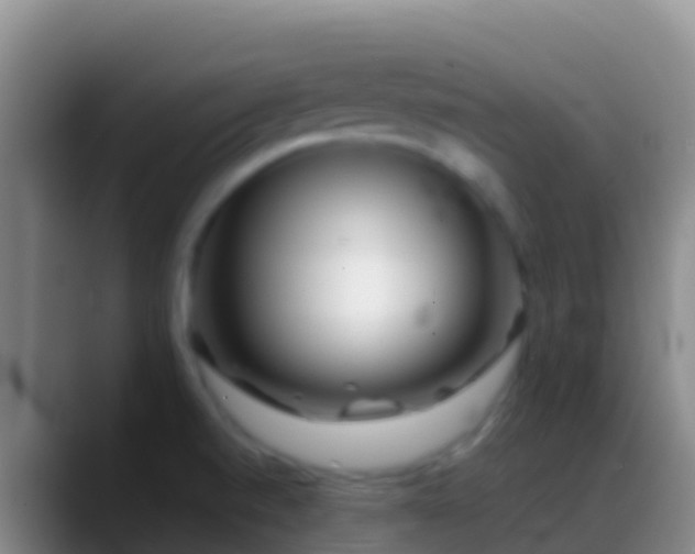 X0000088911520200706151857